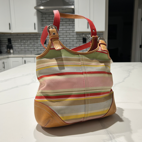 Colorful Stripe Coach Bag